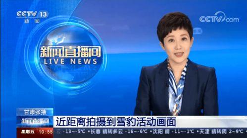 张掖记者爆料新闻最新,揭秘当地重大事件背后真相